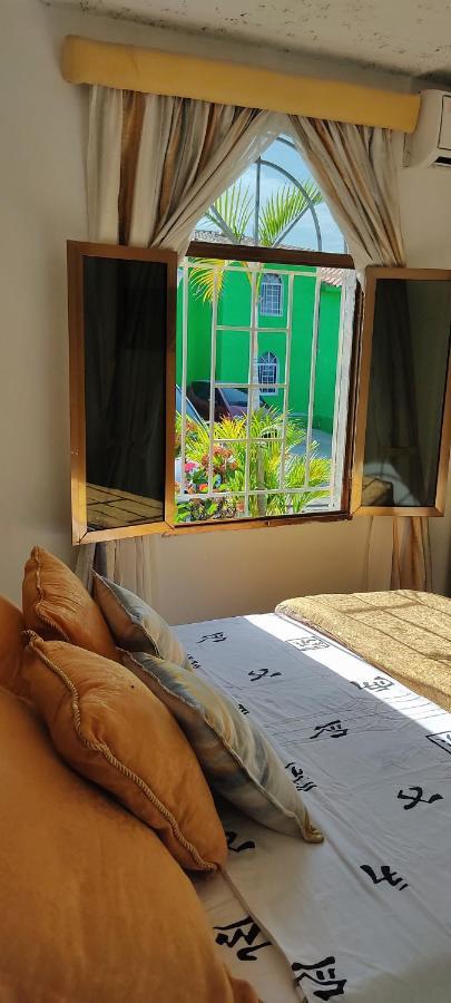 Bella Suite Frente Al Aeropuerto Catia La Mar Dış mekan fotoğraf